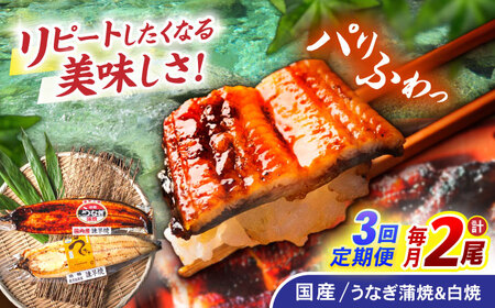 【3回定期便】【諫早淡水】うなぎ蒲焼1尾&白焼き1尾セット / うなぎ ウナギ 鰻 蒲焼き 蒲焼 かばやき 白焼き 白焼 国産 冷凍 小分け うな重 うな丼 ひつまぶし / 諫早市 / 諫早淡水株式会社 [AHAT018]