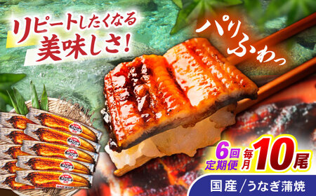 【6回定期便】【諫早淡水】うなぎ蒲焼10尾 / うなぎ ウナギ 鰻 蒲焼 たれ 老舗 / 諫早市 / 諫早淡水株式会社 [AHAT022]