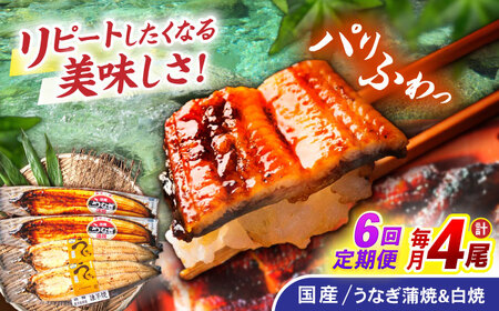【6回定期便】【諫早淡水】うなぎ蒲焼2尾＆白焼き2尾セット / うなぎ 蒲焼 白焼き 詰め合わせ セット / 諫早市 / 諫早淡水株式会社 [AHAT028]