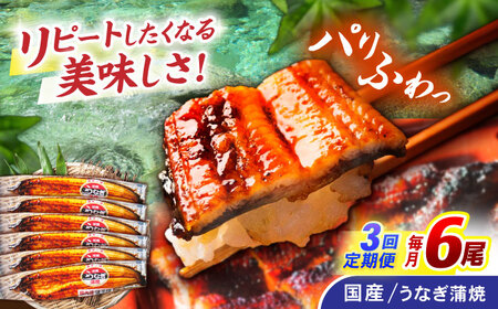 【3回定期便】【諫早淡水】うなぎ蒲焼6尾 / うなぎ ウナギ 鰻 国産うなぎ 国産鰻 蒲焼き 蒲焼 かばやき うな重 うな丼 / 諫早市 / 諫早淡水株式会社 [AHAT036]