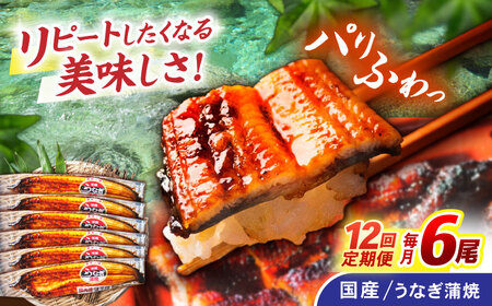 【12回定期便】【諫早淡水】うなぎ蒲焼6尾 / うなぎ ウナギ 鰻 国産うなぎ 国産鰻 蒲焼き 蒲焼 かばやき うな重 うな丼 / 諫早市 / 諫早淡水株式会社 [AHAT038]