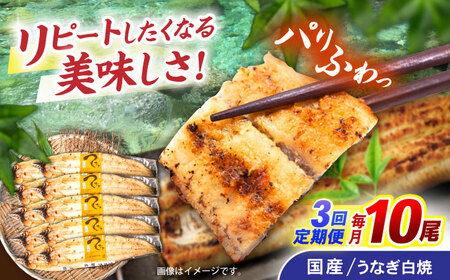 【3回定期便】【諫早淡水】うなぎ白焼き10尾  / うなぎ 白焼き 栄養価 小分け 冷凍 / 諫早市 / 諫早淡水 [AHAT042]