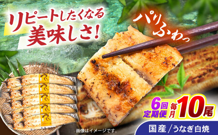 【6回定期便】【諫早淡水】うなぎ白焼き10尾  / うなぎ 白焼き 栄養価 小分け 冷凍 / 諫早市 / 諫早淡水 [AHAT043]
