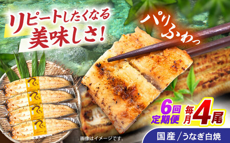 【6回定期便】【諫早淡水】うなぎ白焼き4尾  / うなぎ 白焼き 栄養価 小分け 冷凍 / 諫早市 / 諫早淡水 [AHAT049]