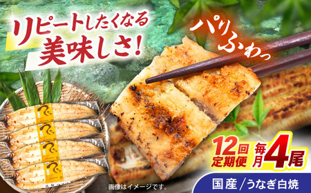 【12回定期便】【諫早淡水】うなぎ白焼き4尾  / うなぎ 白焼き 栄養価 小分け 冷凍 / 諫早市 / 諫早淡水 [AHAT050] 30万 300000