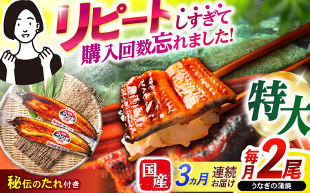 【3回定期便】【諫早淡水】特大うなぎ蒲焼2尾 / 特大 うなぎ ウナギ 鰻 国産うなぎ 国産鰻 蒲焼き 蒲焼 かばやき うな重 うな丼 / 諫早市 / 諫早淡水株式会社 [AHAT054]