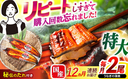 【12回定期便】【諫早淡水】特大うなぎ蒲焼2尾 / 特大 うなぎ ウナギ 鰻 国産うなぎ 国産鰻 蒲焼き 蒲焼 かばやき うな重 うな丼 / 諫早市 / 諫早淡水株式会社 [AHAT056] 30万 300000