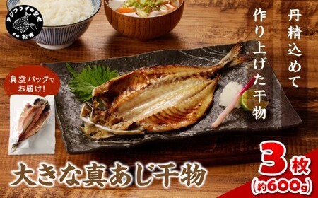 干物 大きな真あじの干物 200g×3(約600g)【A8-035】