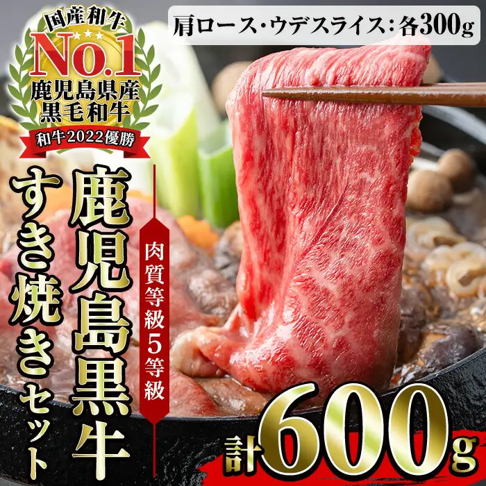 牛肉 すき焼き 600g  肩ロース スライス 食べ比べ 牛肉 すき焼き【00-058-02】