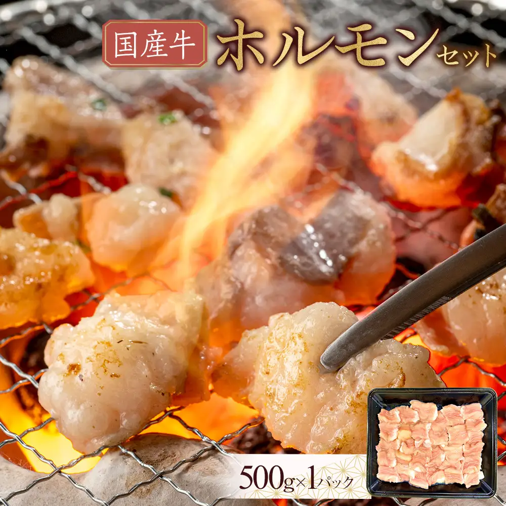 国産牛　ホルモンセット　500g | ホルモン