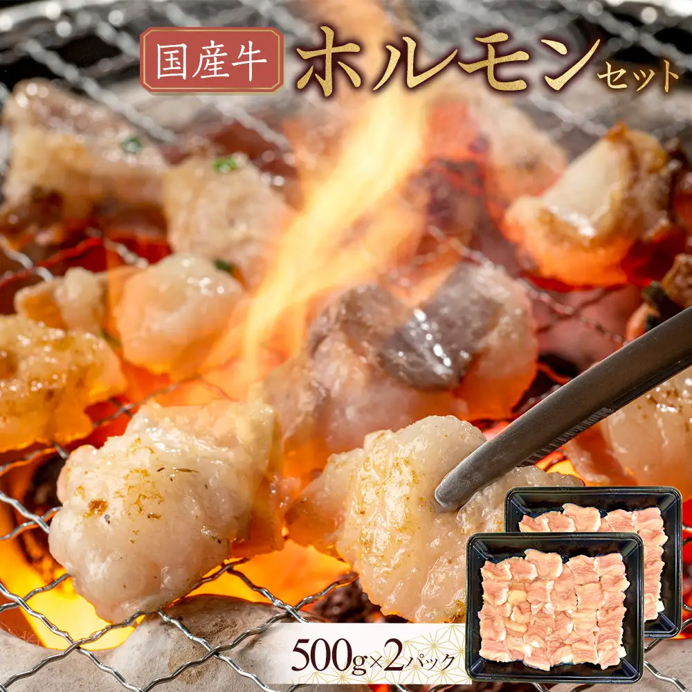 国産牛　ホルモンセット　1000g | ホルモン
