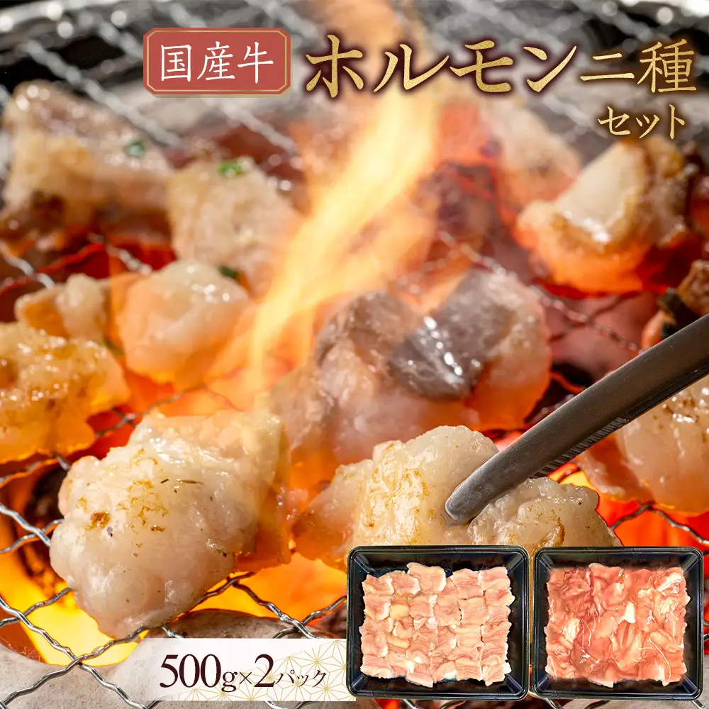 国産牛　ホルモン二種セット1000g | ホルモン