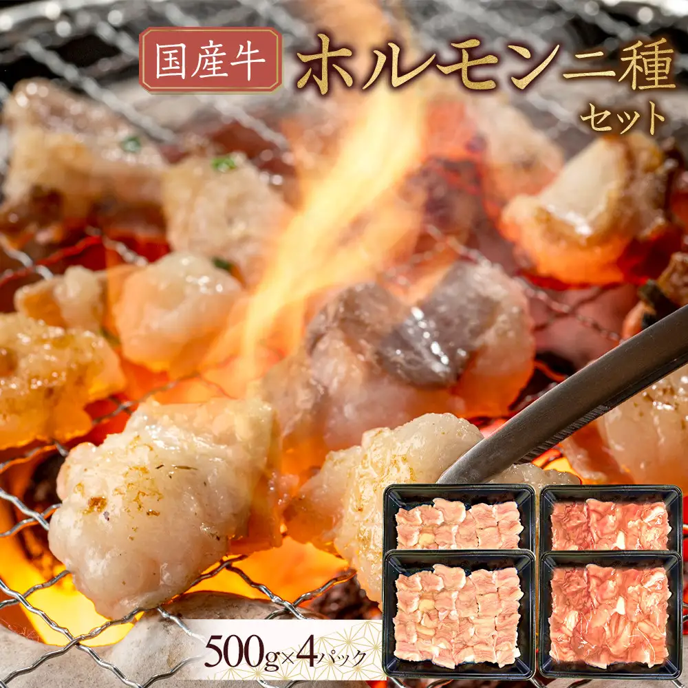 国産牛　ホルモン二種セット2000g | ホルモン
