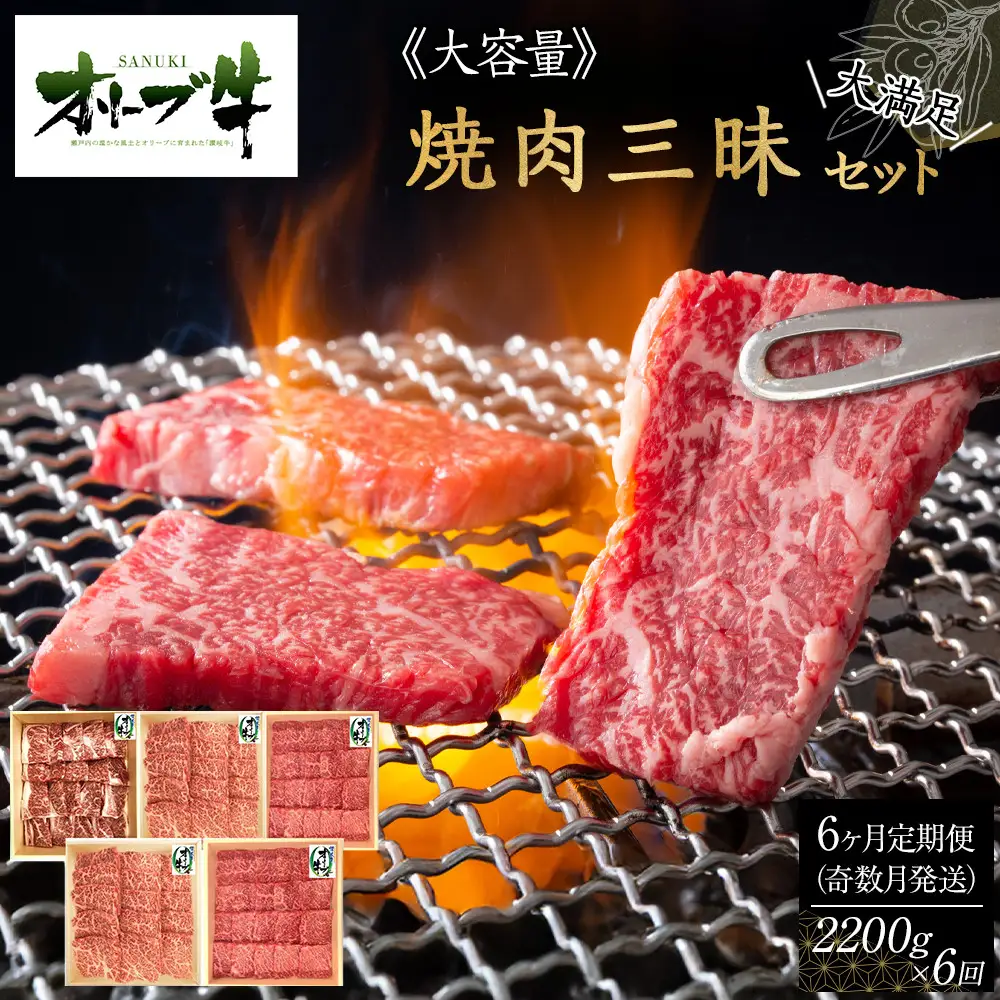 奇数月発送≪6カ月定期便・大容量≫オリーブ牛焼肉三昧大満足セット　2200g×6回