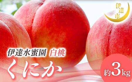 【2026年出荷分先行予約】福島県産 くにか 約3kg (9～16玉) 有限会社伊達水蜜園 白桃 大玉 伊達の桃 桃 フルーツ 果物 もも モモ momo F21C-015