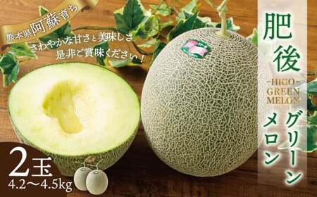 肥後グリーンメロン 2玉（4.2～4.5kg）【2026年7月上旬～8月上旬発送予定】メロン フルーツ 果物 くだもの 熊本県産 国産