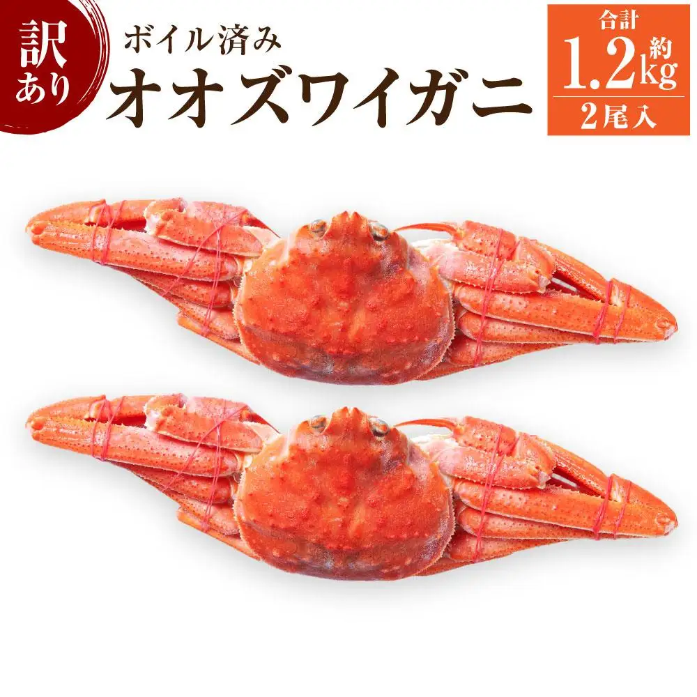 「訳あり」オオズワイガニボイル　2尾　合計約1.2kg  カニ カニ