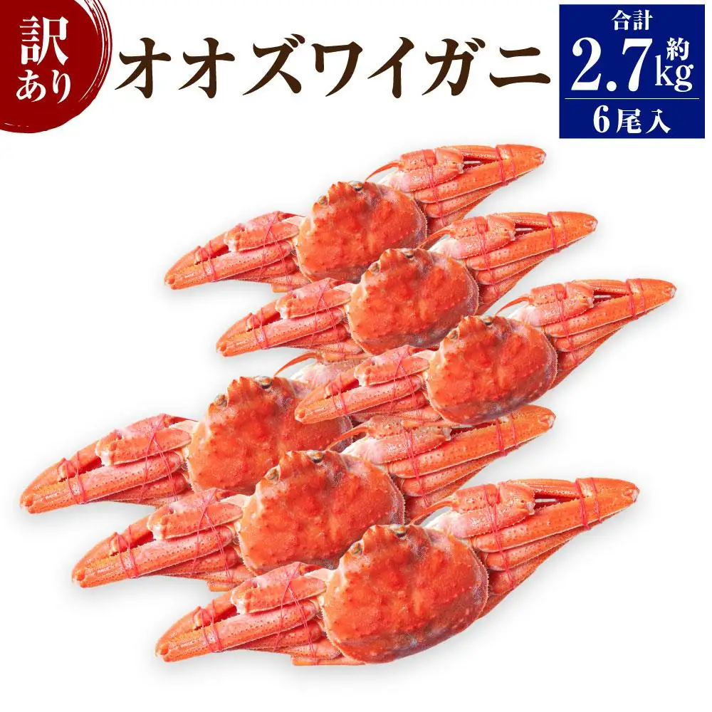 「訳あり」オオズワイガニボイル 6尾 合計約2.7kg オオズワイガニ