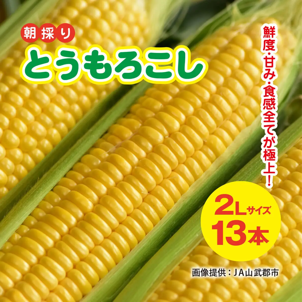 【先行予約】【6月下旬～8月中旬発送】 鮮度・甘み・食感 全てが極上! 農業歴30年以上の農家のこだわりが詰まった 朝採り とうもろこし 2L 13本 約5kg　SMCF001