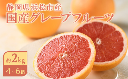 【2027年4月上旬より順次発送】 静岡県浜松市産グレープフルーツ約2kg（4～6個） 果物 フルーツ 国産 静岡 浜松市