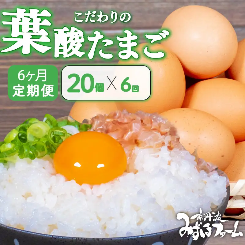 【卵 定期便6か月】 葉酸たまご 卵20個