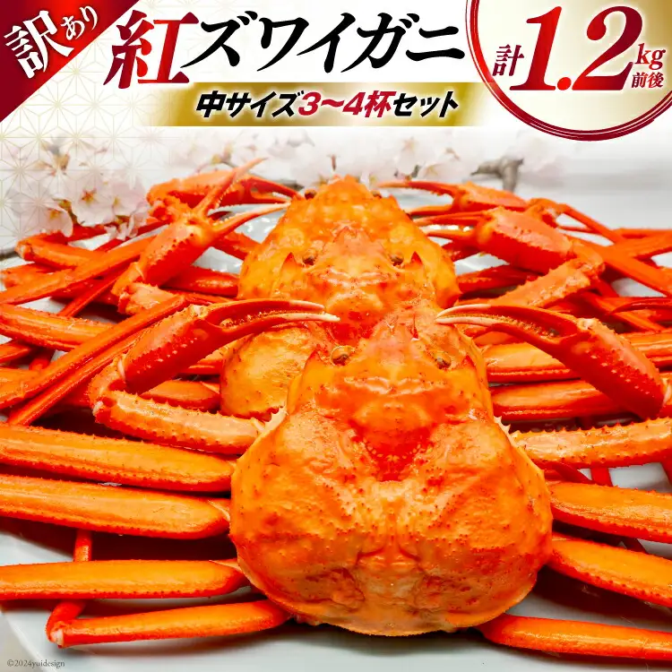 【期間限定発送】 【漁師厳選】 訳あり 紅ズワイガニ ボイル済 中サイズ3～4杯 計1.2kg前後 [聖徳丸 富山県 朝日町 34310512]
