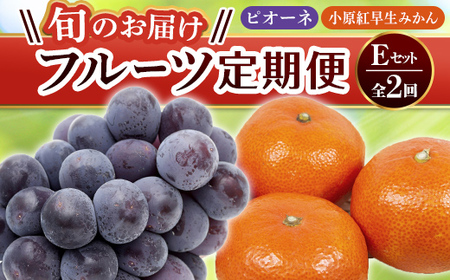 【フルーツ定期便 2回】 《ピオーネからスタート》 Eセット ピオーネ 約1.2kg 小原紅早生みかん 約4.5kg ぶどう みかん 旬 果物 国産 香川県 フルーツ定期便 F5J-783