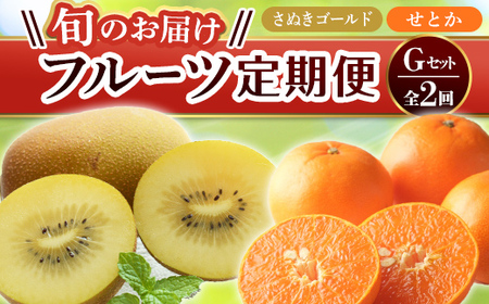 【フルーツ定期便 2回】 《さぬきゴールドからスタート》 G セット さぬきゴールド 約2.7kg せとか 約5kg  キウイ キウイフルーツ みかん 柑橘 旬 果物 国産 香川県 フルーツ定期便 F5J-785