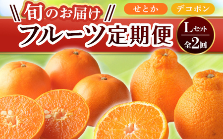 【フルーツ定期便 2回】 《せとかからスタート》 Lセット せとか 約5kg デコポン 約5kg みかん 柑橘 旬 果物 国産 香川県 フルーツ定期便 F5J-790