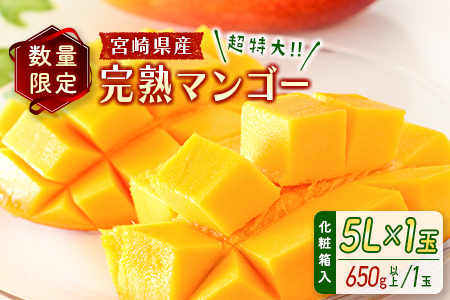 ＜数量限定＞宮崎県産 完熟マンゴー5L×1玉（650g以上）※2026年4月下旬配送開始 化粧箱入 フルーツ くだもの【C358-26】