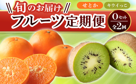 【フルーツ定期便 2回】 《キウイっこからスタート》 Oセット キウイっこ 約1.8kg せとか 約5kg キウイ キウイフルーツ みかん 柑橘 旬 果物 国産 香川県 フルーツ定期便 F5J-814