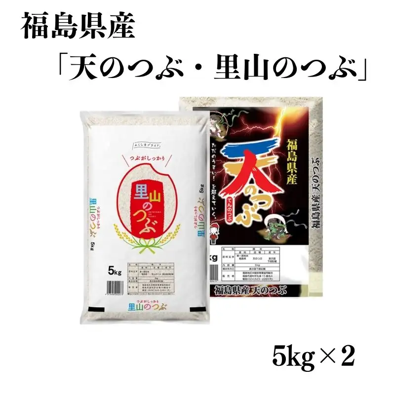 No.3054 【令和7年産】福島県産米「天のつぶ・里山のつぶ」食べ比べセット　精米 5kg 2袋