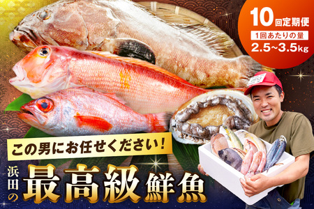 【定期便】どんちっち浜田【至高】の鮮魚 10回～最高級この男シリーズ～ 【006_2052】