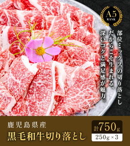 鹿児島県産黒毛和牛切落し250ｇ×3パック LRプラスK 《90日以内に出荷予定(土日祝除く) 》 鹿児島県産 A5 黒毛和牛 和牛 切落し 250ｇ×3パック 計750g