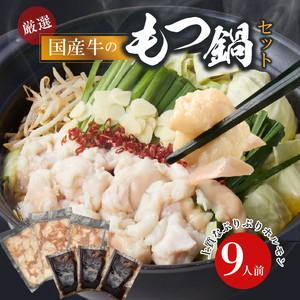 【食肉総合卸 丸正】厳選国産牛のもつ鍋セット（9人前）[153M01]
