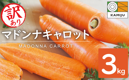 【予約受付】＜フジテレビ『どっちのふるさと？』で紹介されました！＞【期間限定】訳あり！こどもも食べられる甘み！「マドンナキャロット」 3kg にんじん 人参 ニンジン 野菜 やさい 国産 碧南市 健康 食品ロス削減 甘い 先行予約 旬 特産 高評価 高リピート 人気 H105-155