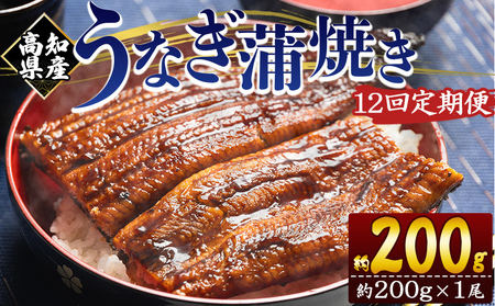 【大サイズ】うなぎ蒲焼き | うなぎ 定期便 国産 うなぎ 定期便 うなぎ 定期便 Wfb-0048
