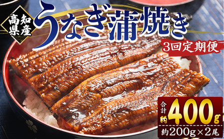 うなぎ蒲焼き 200g 2尾 定期便 3回 うなぎ Wfb-0050