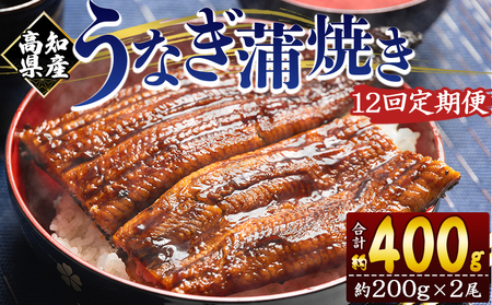 【大サイズ】うなぎ蒲焼き | うなぎ 定期便 国産 うなぎ 定期便 うなぎ 定期便 Wfb-0052