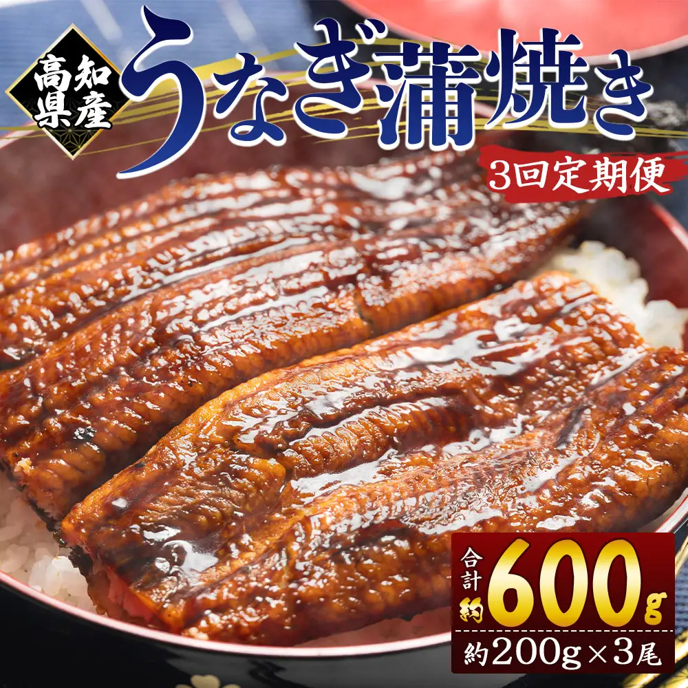 【定期便】うなぎ蒲焼き 3尾 うなぎ Wfb-0054