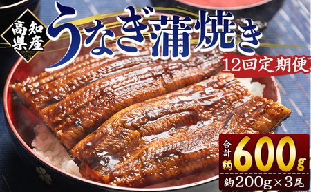 【大サイズ】うなぎ蒲焼き | うなぎ 定期便 国産 うなぎ 定期便 うなぎ 定期便 Wfb-0056
