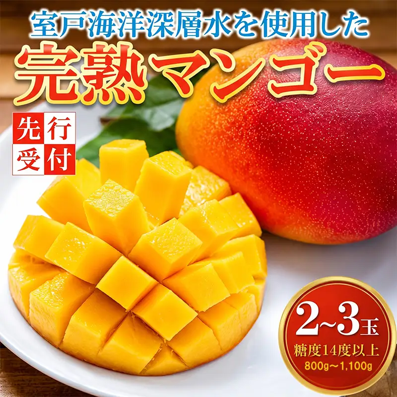 高知県安芸市産 完熟マンゴー「アーウィンアップルマンゴー」（岡宗農園）
