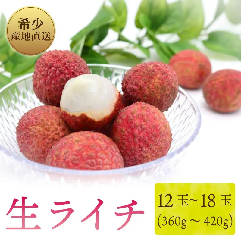 【令和8年6月頃より発送】先行予約 生ライチ 国産 室戸海洋深層水使用 ライチ 果物 フルーツ 化粧箱入り 贈答用