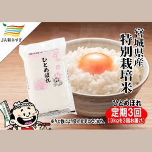 【定期便】元気くん市場ひとめぼれ　3kg×3回【3ヶ月連続でお届け】【mygs-tkb002】