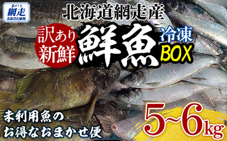 【先行予約】【訳あり】網走産冷凍鮮魚BOX～未利用魚の有効活用（漁業生産者応援企画）～【令和8年4月より順次発送】 ABAE011