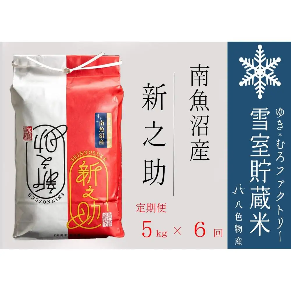 【令和７年】新之助【定期便5kg×6回】雪室貯蔵米 南魚沼産【定期便 銘柄米 ブランド米 精米 新之助 魚沼産 新潟米 新潟県産 産地直送 ご飯 御飯 ごはん お米 米 こめ コメ】