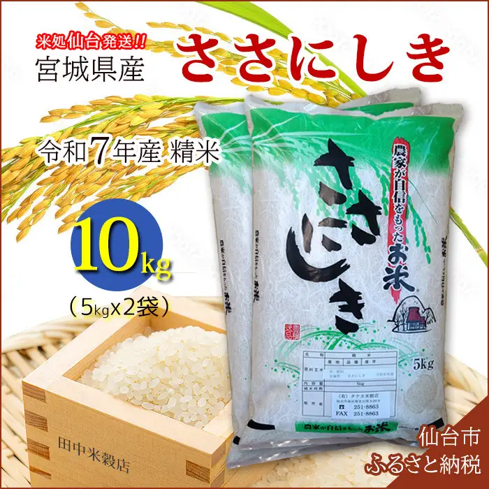 【ささにしき】新米 令和7年度産 精米 10kg（5kg×2袋）宮城県産【米 お米 こめ コメ ご飯 ごはん】