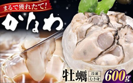 冷凍牡蠣むき身600g 牡蠣[XBP053]