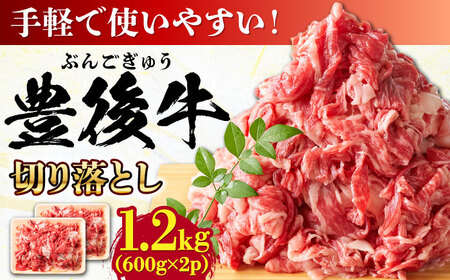 【大容量パック！】 おおいた豊後牛 牛肉 切り落とし 1.2kg (600g×2) 豊後牛 牛肉 切り落とし 大分 冷凍 [AREI004]
