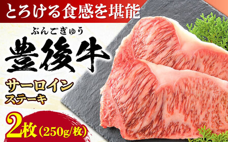 おおいた豊後牛 サーロインステーキ 500g (250g×2枚) ステーキ サーロイン おおいた 豊後牛 サーロインステーキ[AREI007]